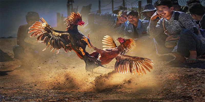58vin chơi bắn cá đổi thưởng