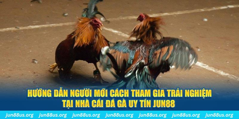 58vin CQ9 Điện Tử