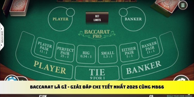 58vin gà chọi cu cần