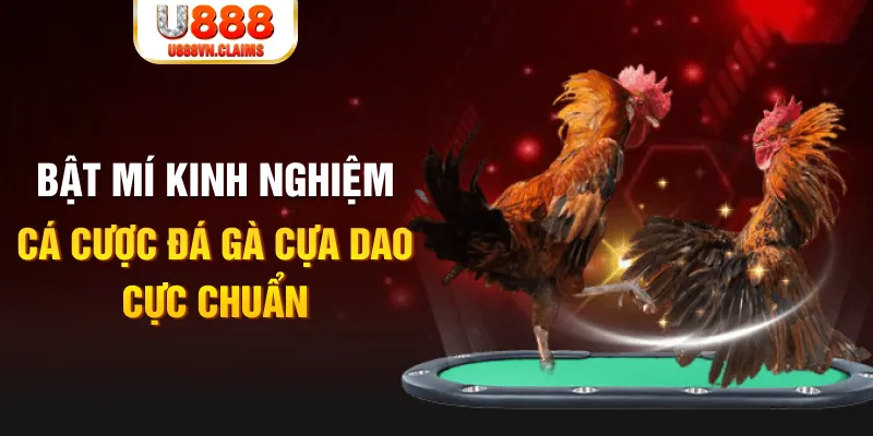 58vin tỷ lệ cá cược châu á là gì