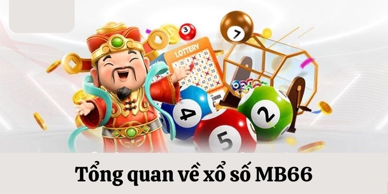 58vin da ga