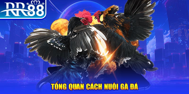 58vin VA Điện Tử