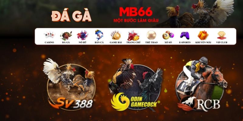 58vin đăng nhập poker số 1
