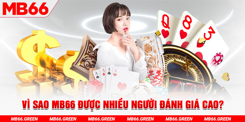 58vin đá gà