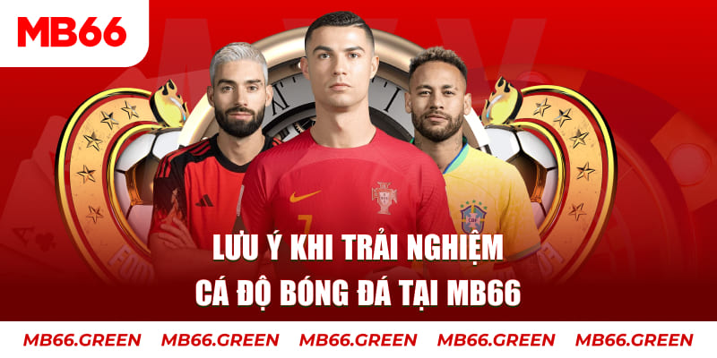 58vin cá cược là gì