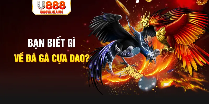 58vin nổ hủ là gì