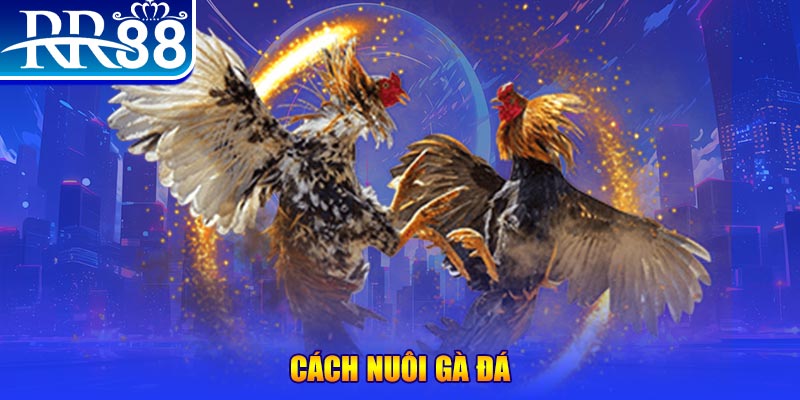 58vin xổ số an giang