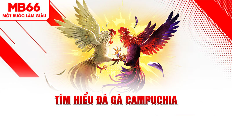 58vin đá gà trực tiếp