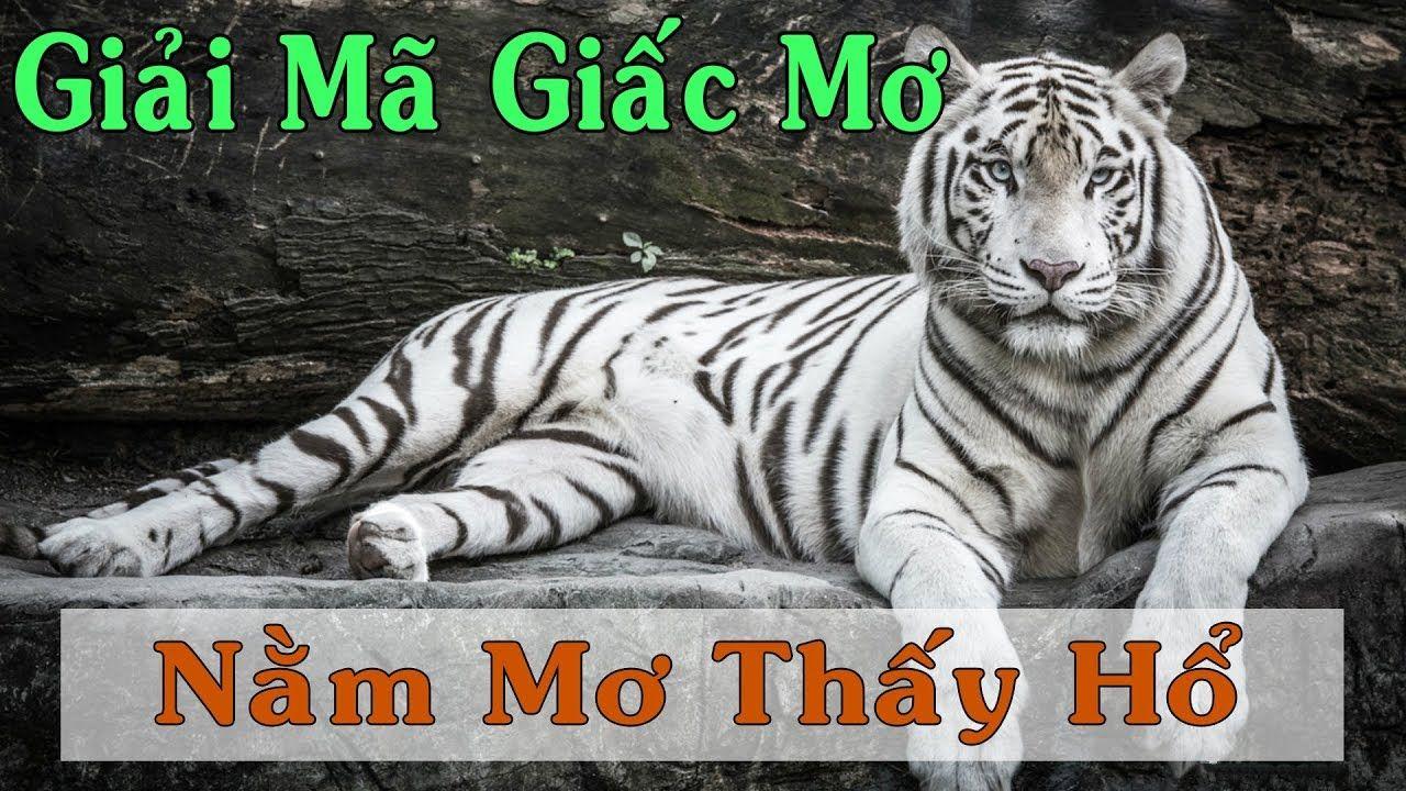 58vin WM Trực Tuyến