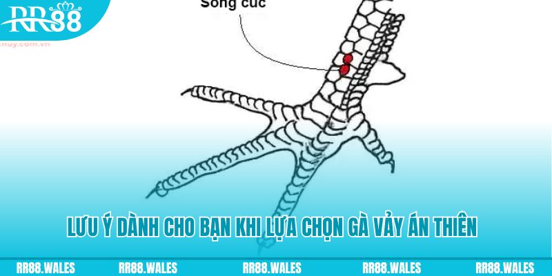58vin xổ số đồng nai
