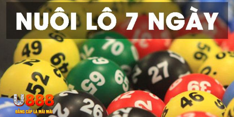 58vin slot là j