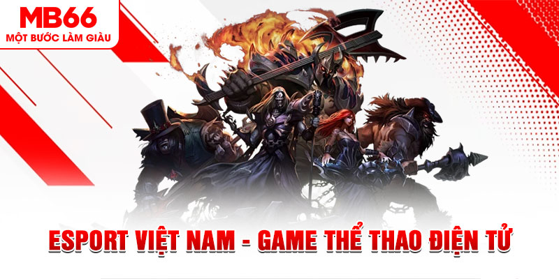 58vin what are the most popular casino games