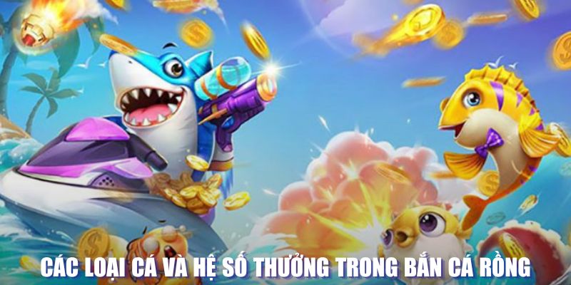 58vin đăng nhập sòng bạc mới nhất
