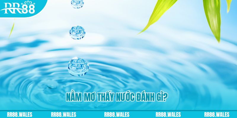 58vin TP Bắn cá