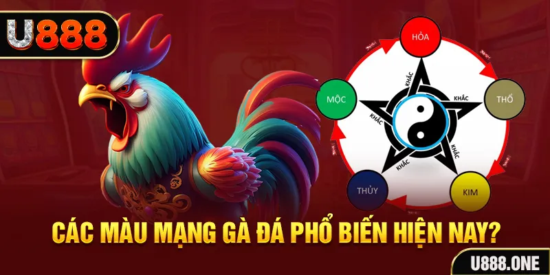 58vin trực tiếp đá gà 88