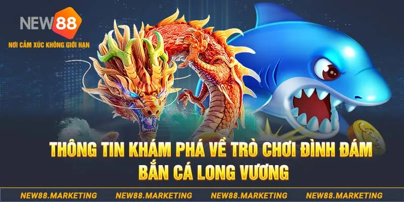 58vin baccarat lừa đảo như thế nào