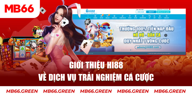 58vin ga choi hoa phong