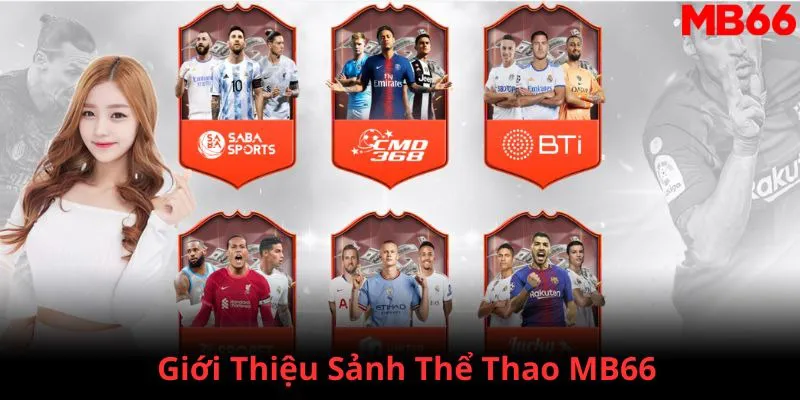 58vin đăng nhập phỏm 2024
