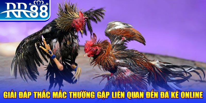 58vin slot machine là gì