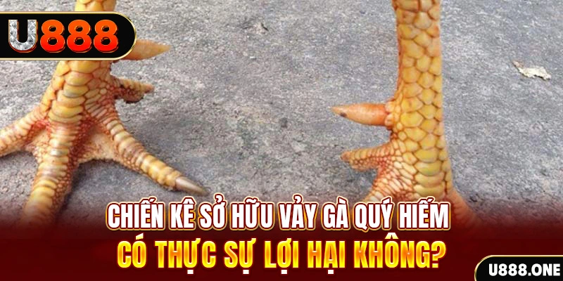 58vin nohu .mx nổ hủ là gì
