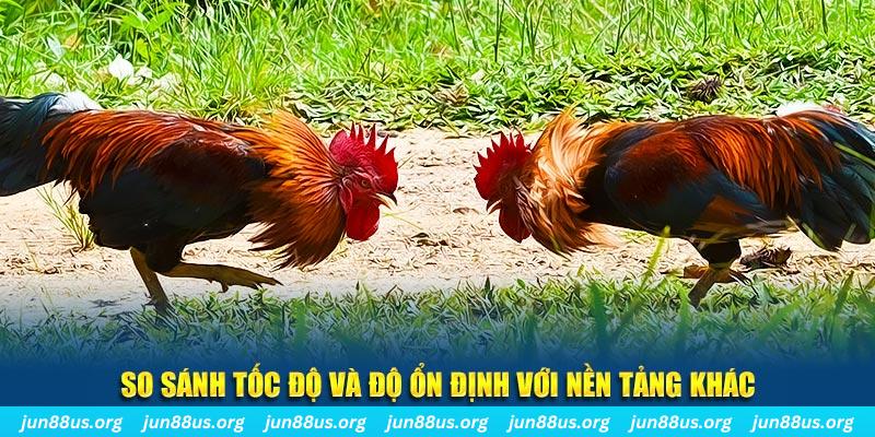 58vin đá gà hôm nay