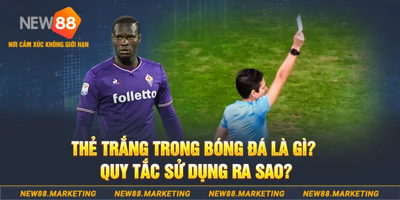 58vin gà chọi mộc hóa