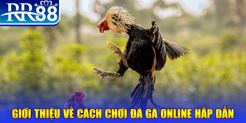 58vin game nổ hũ rút tiền mặt là gì