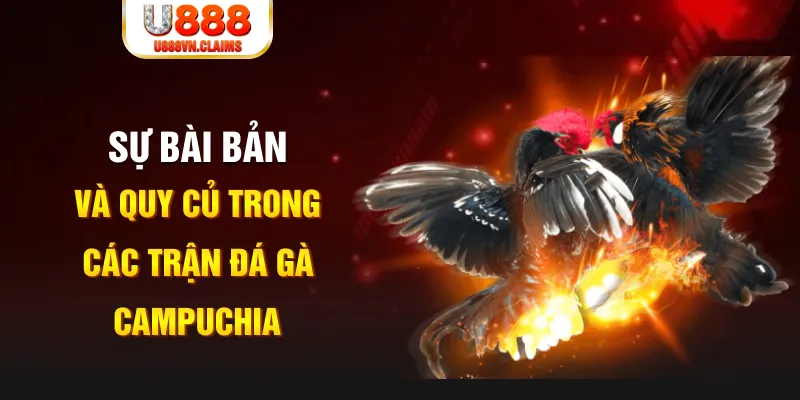 58vin YGR Điện Tử