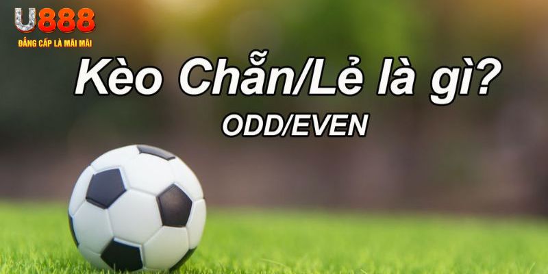 58vin đăng nhập poker hôm nay