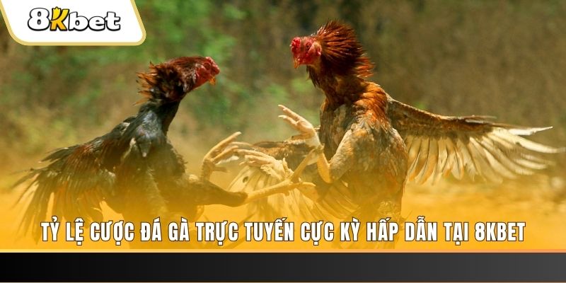 58vin đăng nhập phỏm trực tiếp