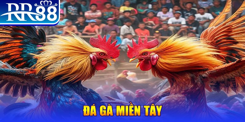 58vin chơi slot là gì
