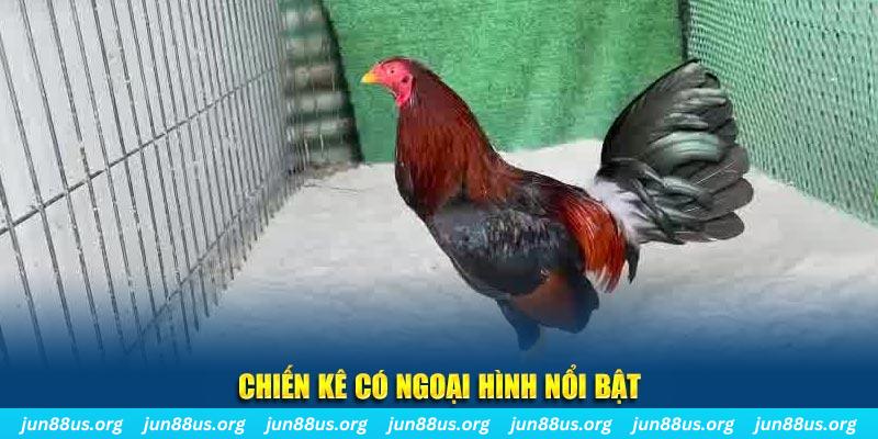 58vin chạy quảng cáo cho game bài bị phạt như thế nào