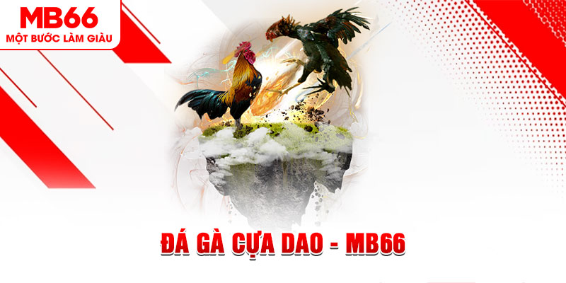 58vin đá gà sv388 gold