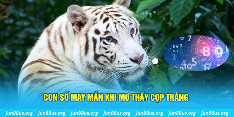 58vin đá gà trực tiếp 88